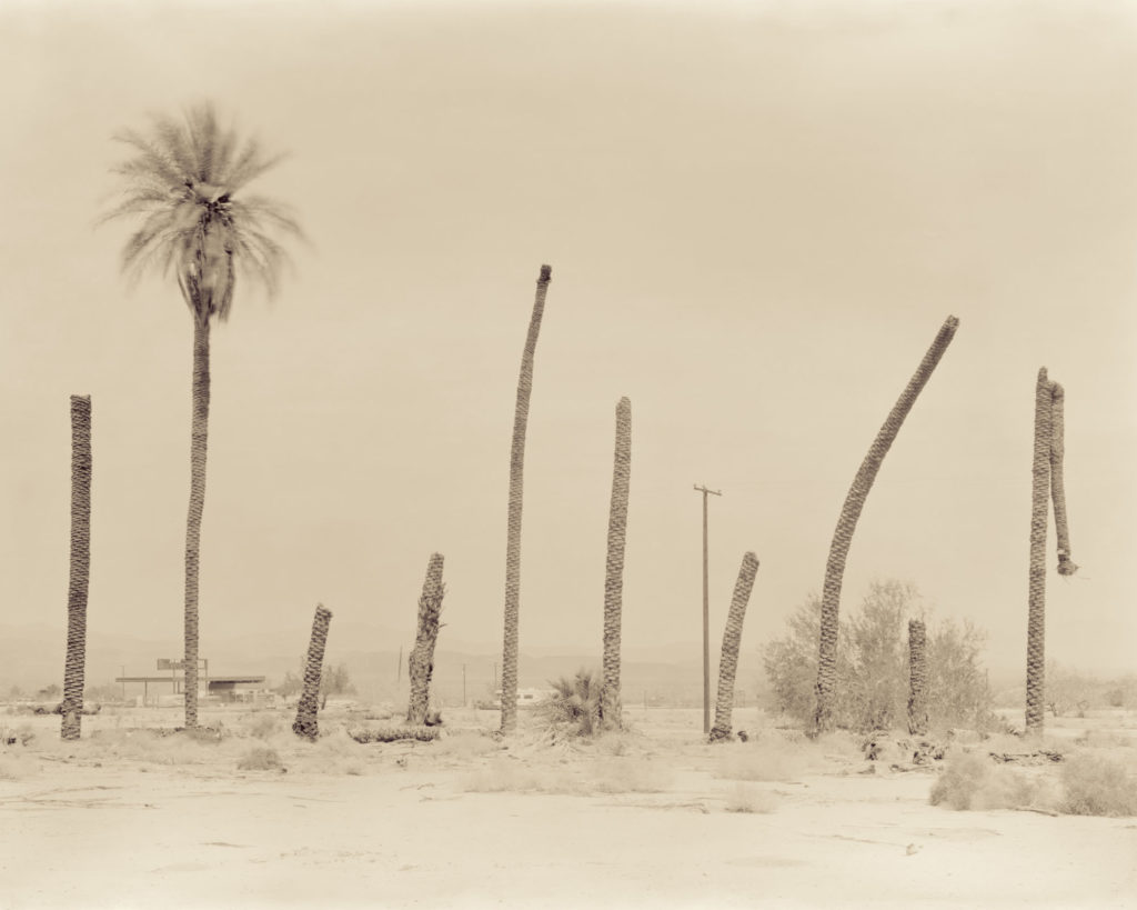 Palms 1, Desert Center California